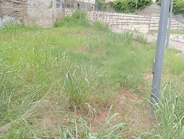 Lamezia, Parco Barisco da gioiello a spazio abbandonato