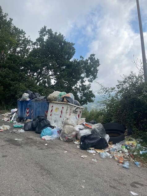Lamezia, rifiuti e cinghiali a Serra e Annunziata: Serratore chiede interventi continui