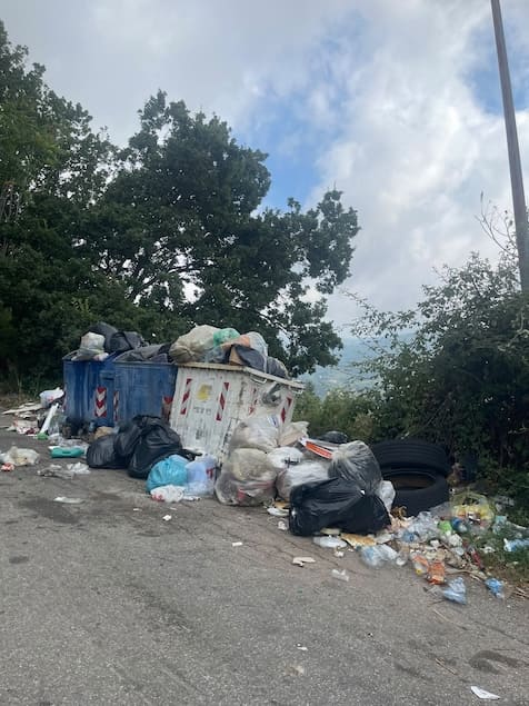 Lamezia, rifiuti e cinghiali a Serra e Annunziata: Serratore chiede interventi continui