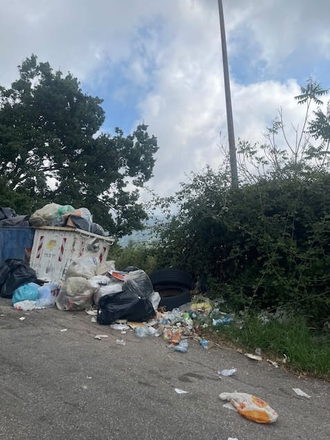 Lamezia, rifiuti e cinghiali a Serra e Annunziata: Serratore chiede interventi continui