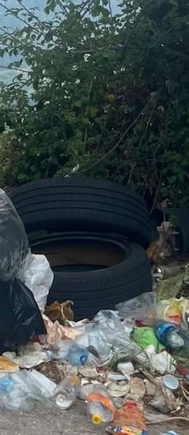Lamezia, rifiuti e cinghiali a Serra e Annunziata: Serratore chiede interventi continui